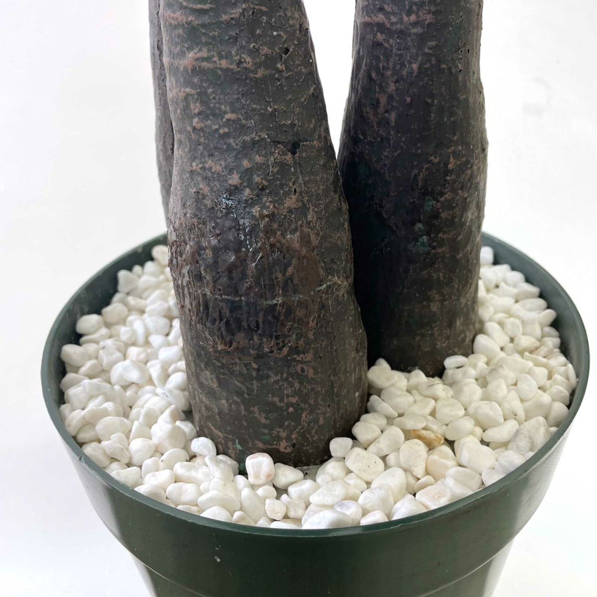 キズ一例（幹割れ…補修跡あり）