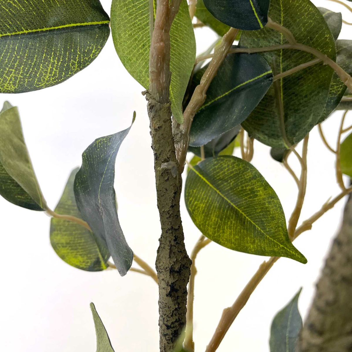 【キズ一例】枝に傷あり（補修済）