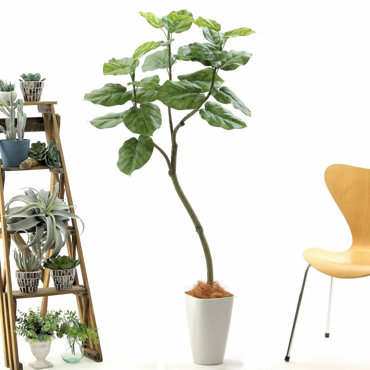 スマートポットCHIC8＋ヤシの繊維（+1500円）