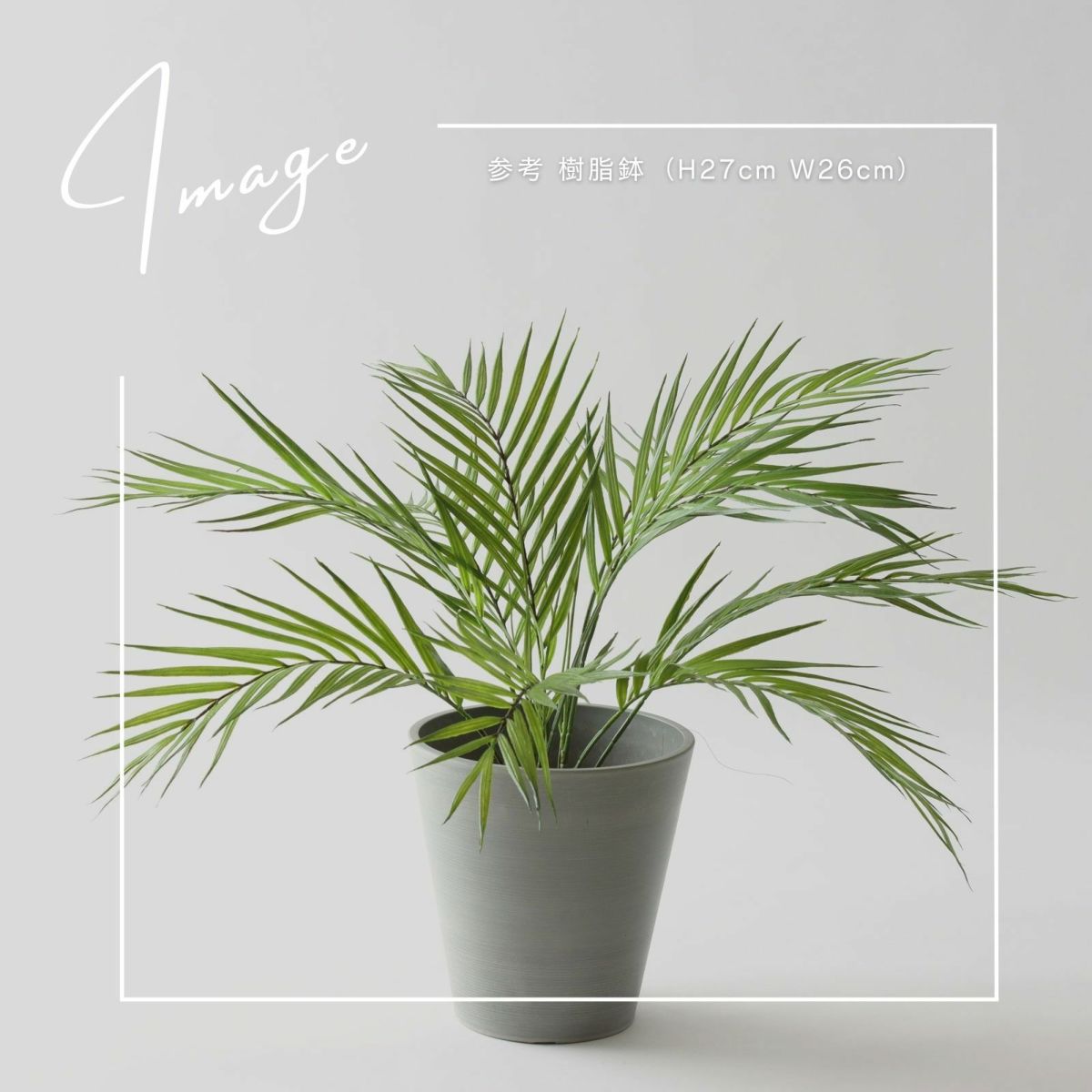 【参考】鉢：h27cm d26cm