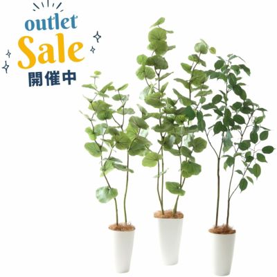 No202507Set-4  【1セット限定 見つけた人だけラッキー！貴重なラストセット 豪華3点セット 超お得フェイクグリーン大放出セット】シーグレープ2本立・シーグレープ4本立・フィカスベンジャミン2本立 3点セット