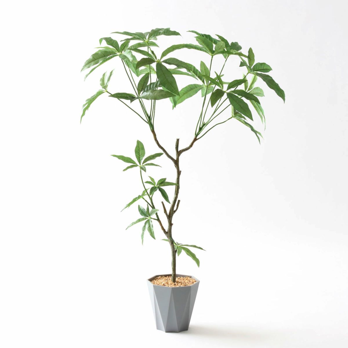 ⑬ Formaポット（標準）