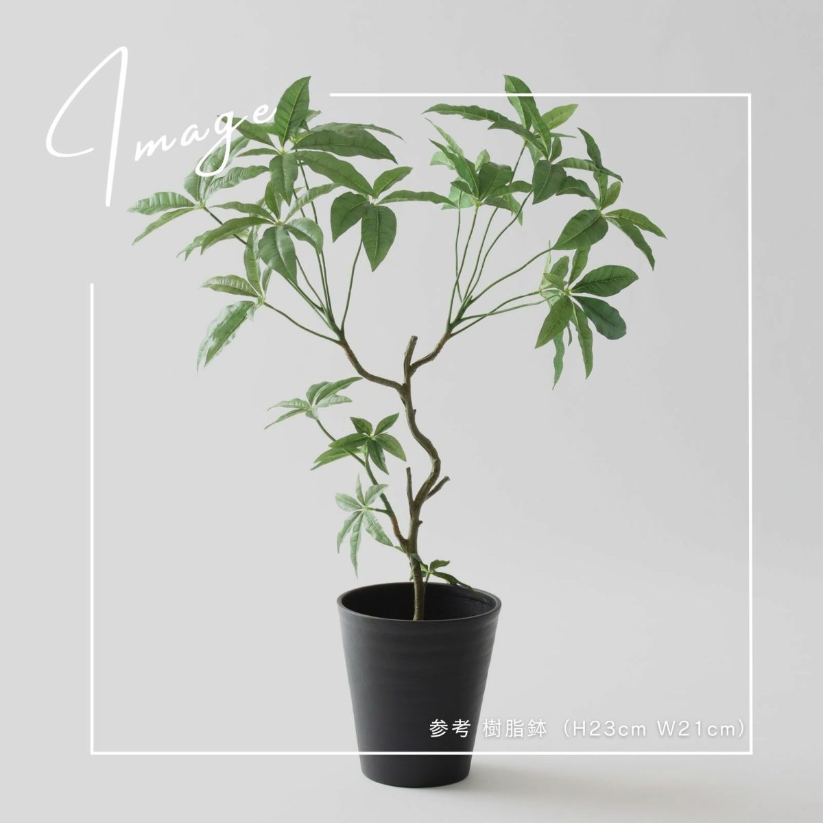 【参考】鉢 h23cm w21cm