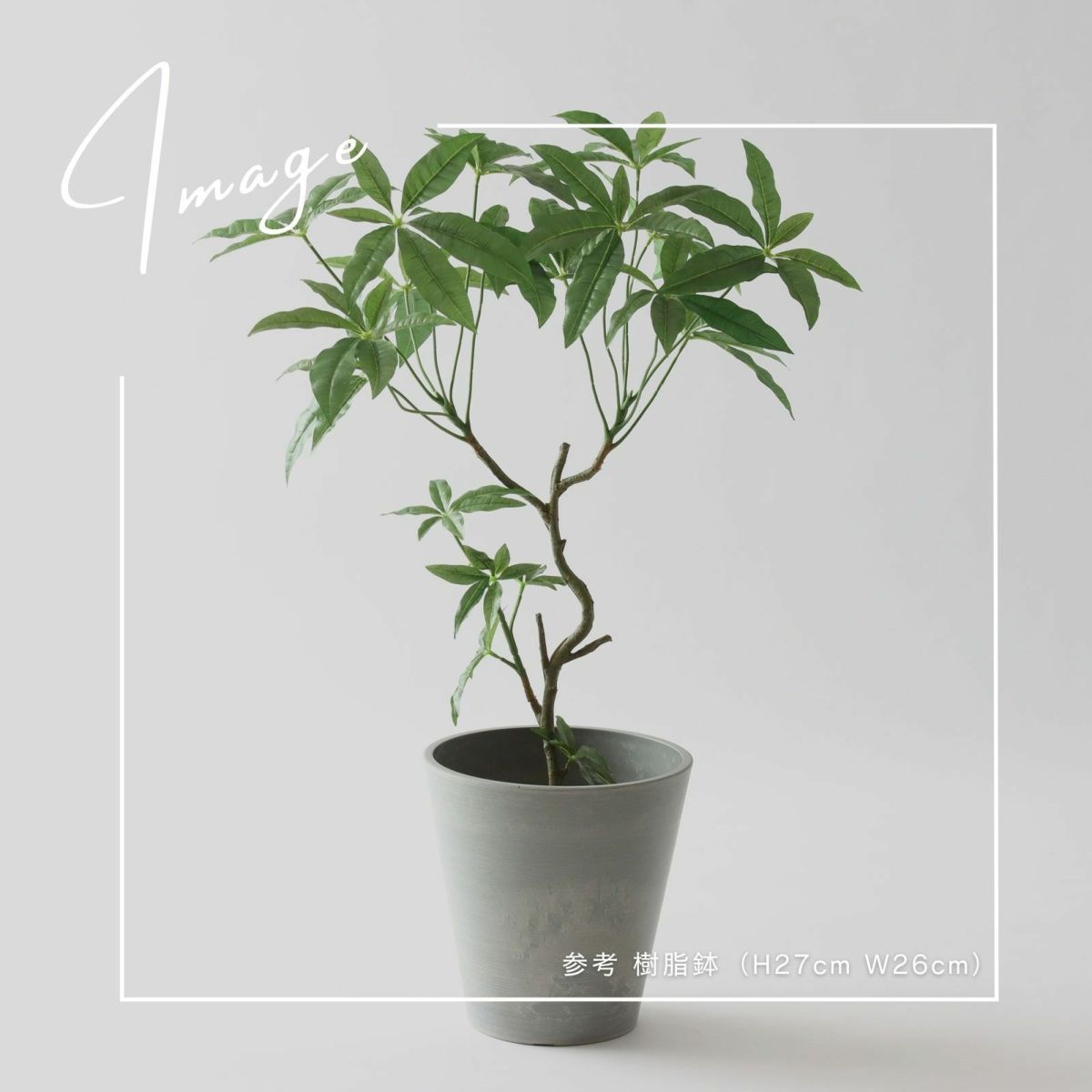 【参考】鉢 h27cm w26cm