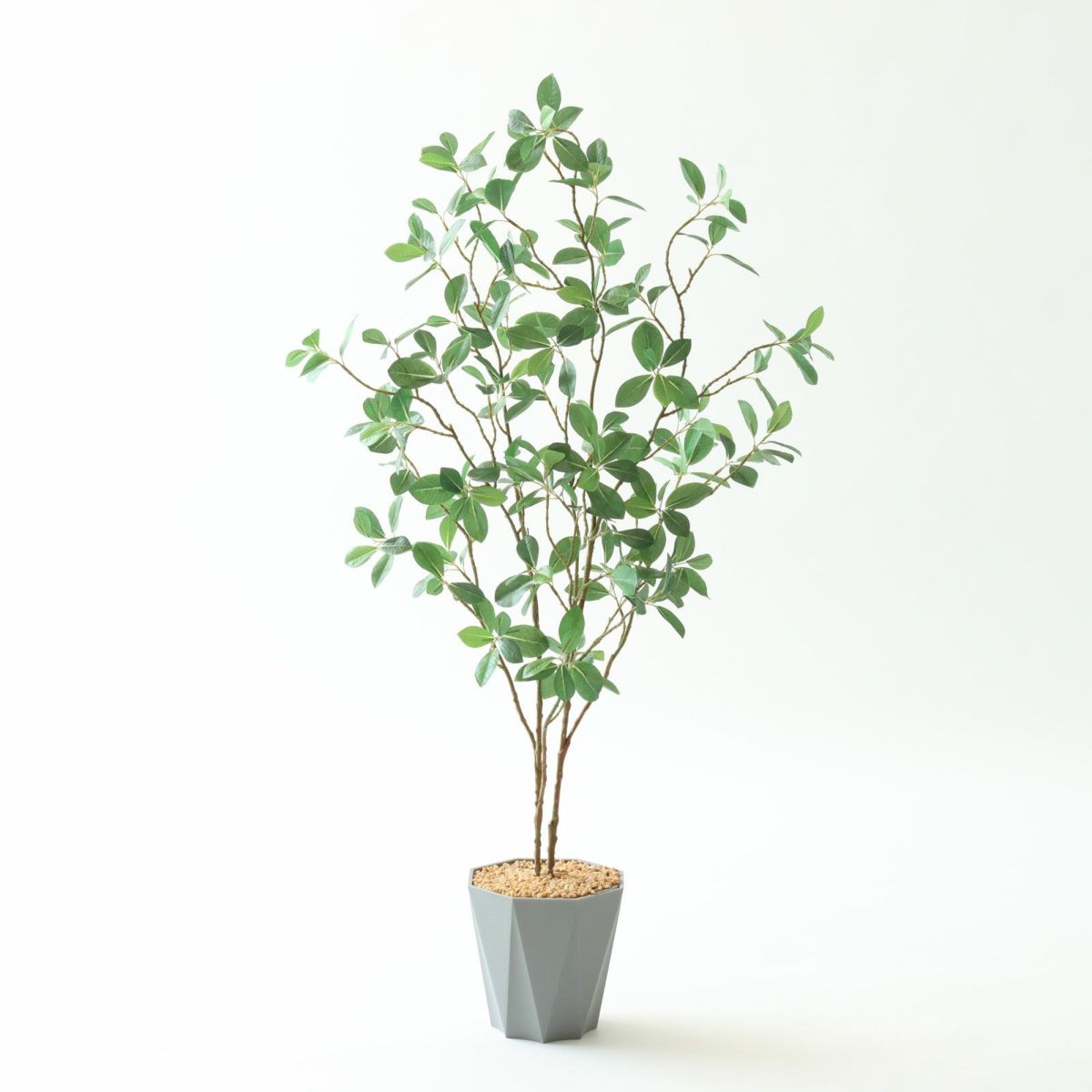 ⑬ Formaポット（標準）