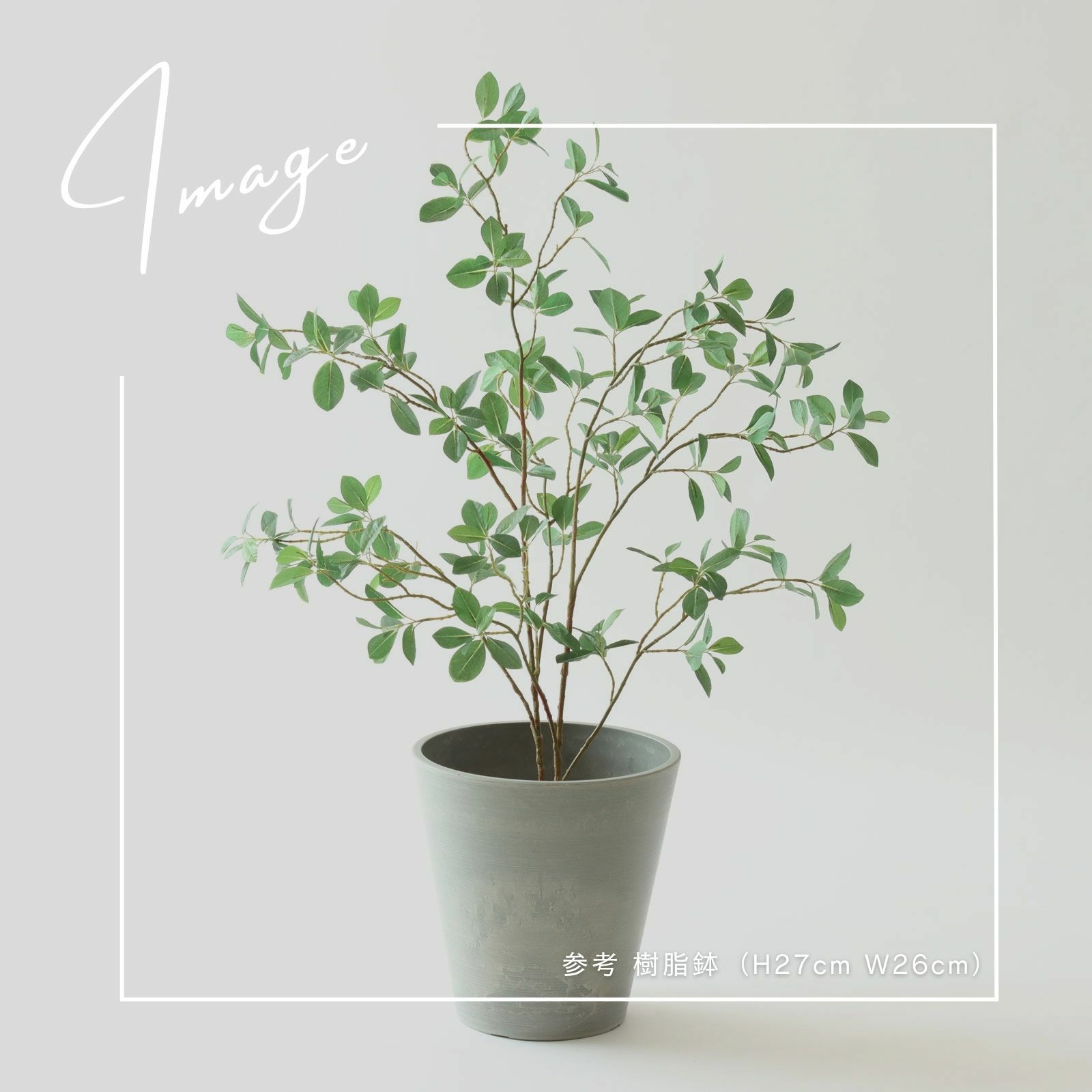 【参考】鉢 h23cm w25cm