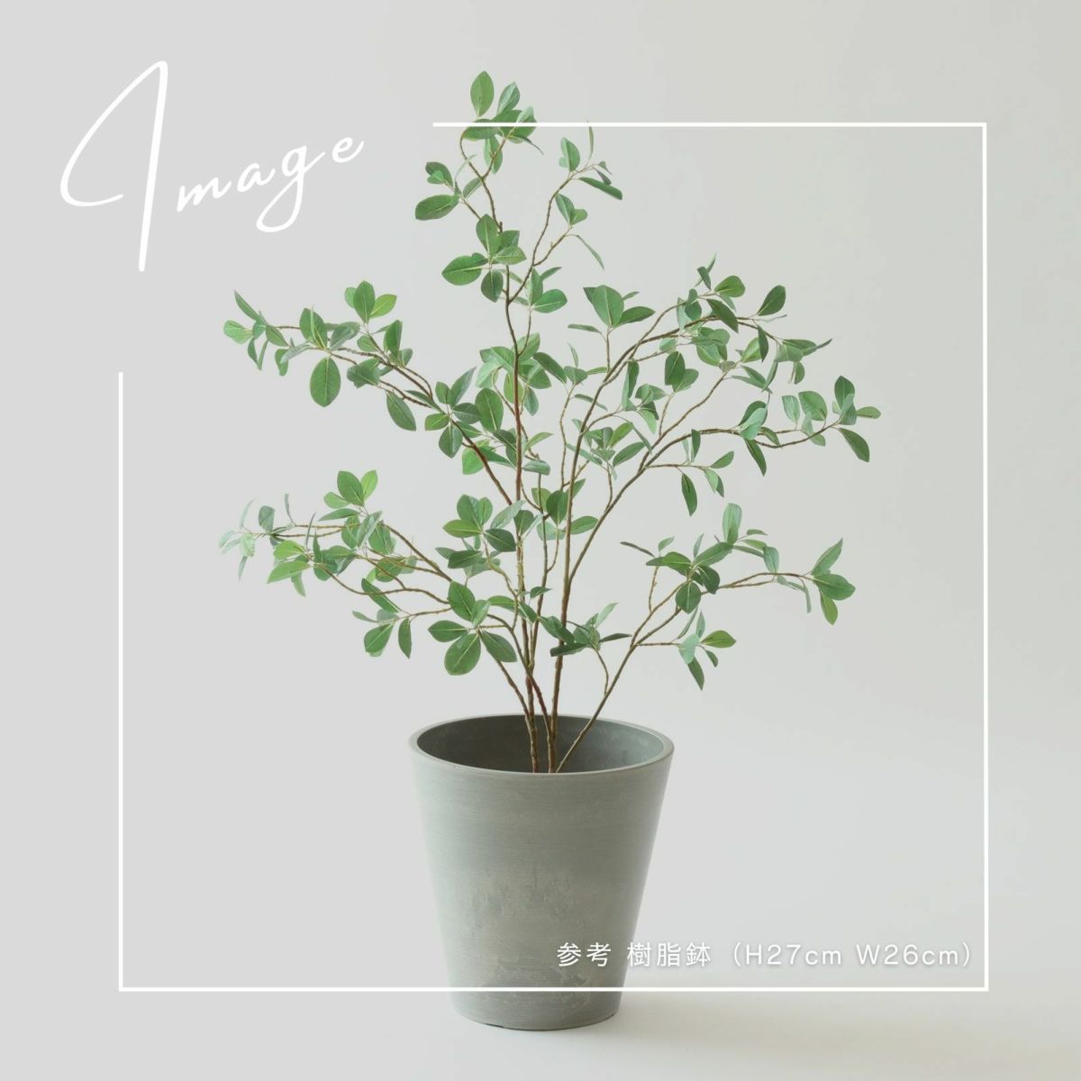 【参考】鉢 h23cm w25cm