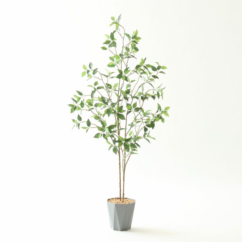 ⑬ Formaポット（標準）