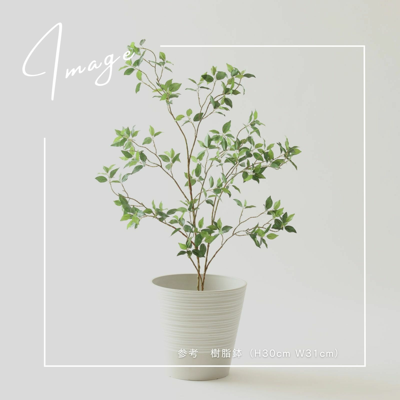 【参考】鉢 h30cm w31cm