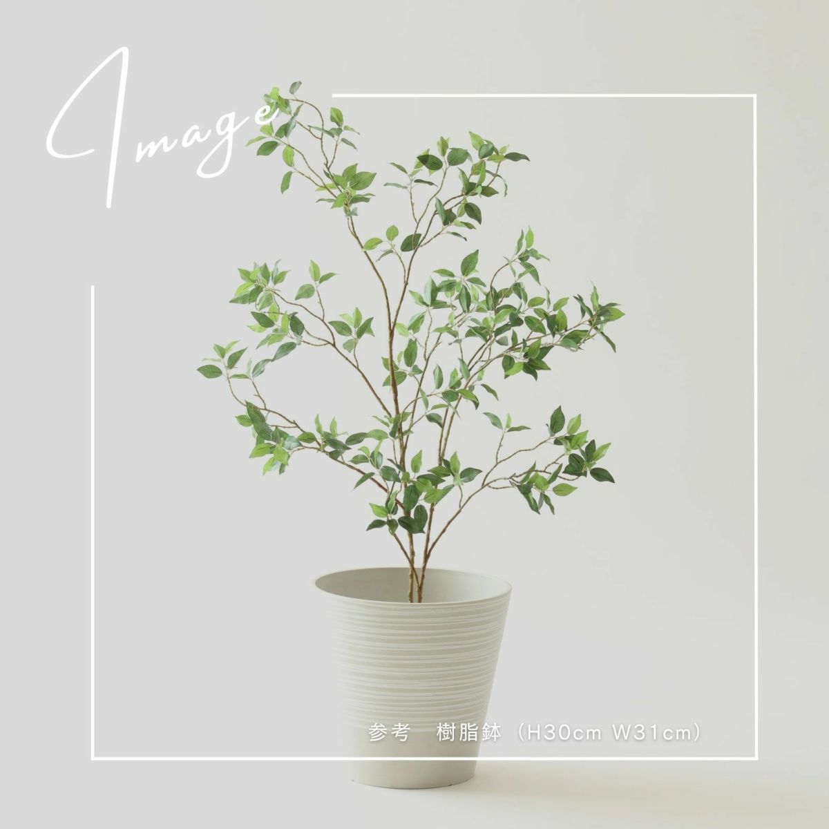 【参考】鉢 h30cm w31cm