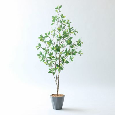 No20041P プレミアム光触媒フェイクグリーン 「やわらかなグラデーション葉 × 線の美しい枝ぶり　空間に上質なナチュラルモダンを レモンリーフ 高さ108cm 幅68cm 奥行53cm」