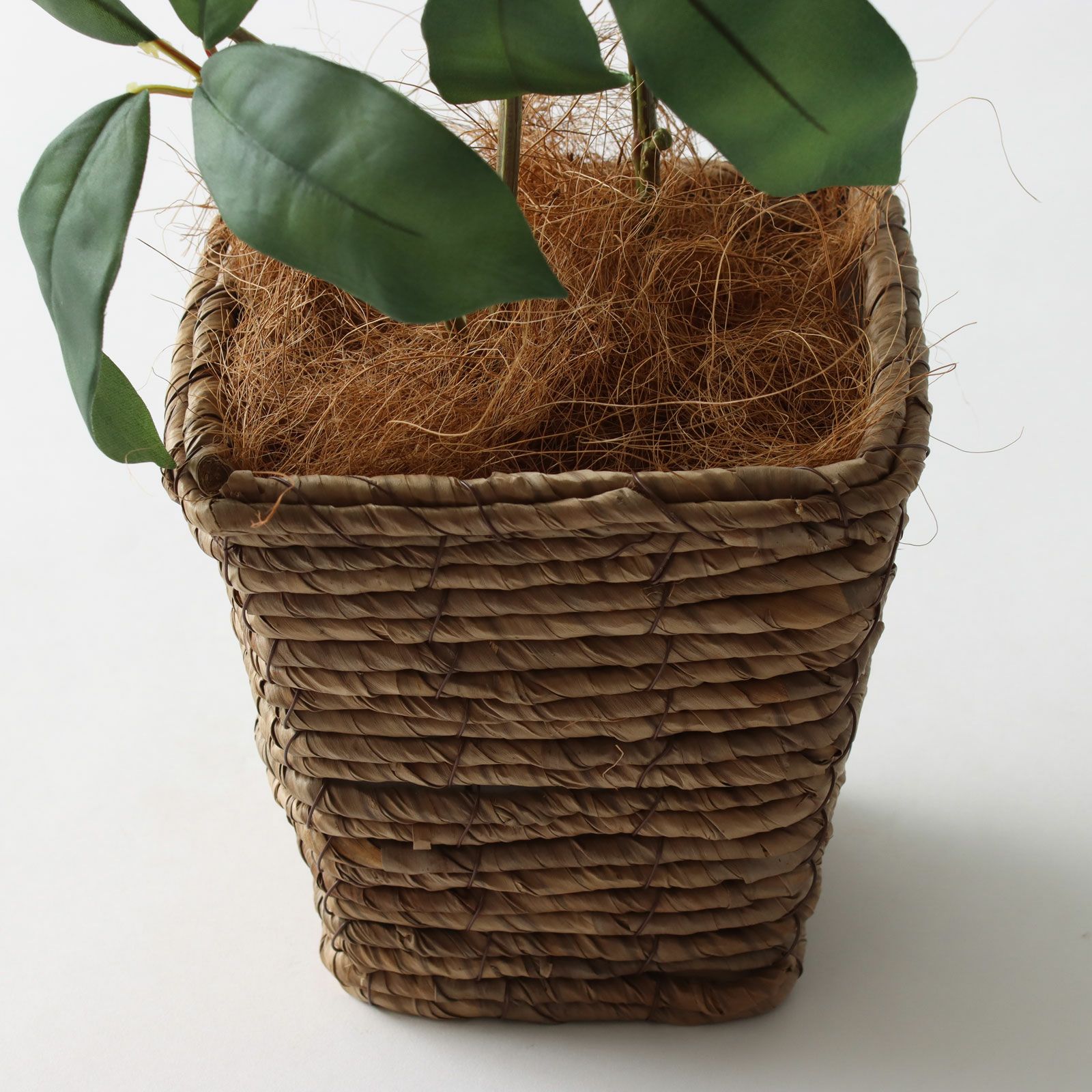 光触媒　人工観葉植物　フェイクグリーン　ブリザードフラワー　エレノア2 DORIS 人工植物 観葉植物 光触媒 造花 植物 フェイクグリーン 鉢