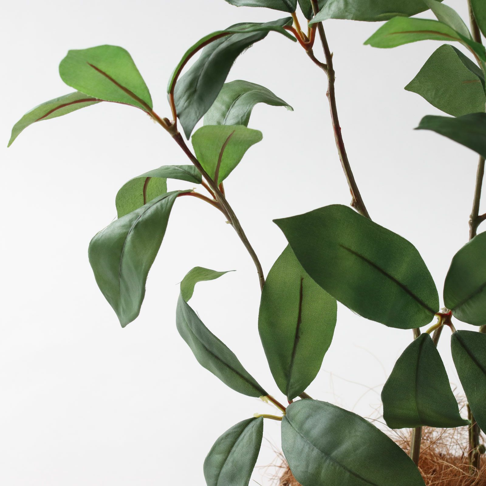 No3563N2 プレミアム光触媒フェイクグリーン 【そのまま飾れる 完成形