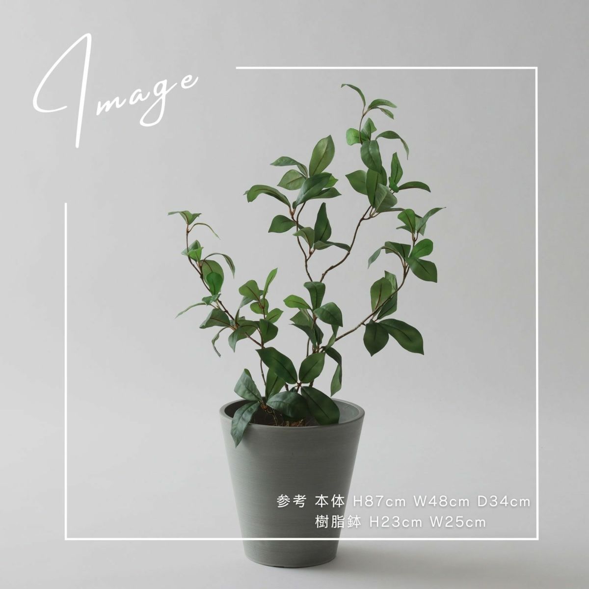 【参考】h87cm w48cm d34cm 鉢：h27cm w26cm