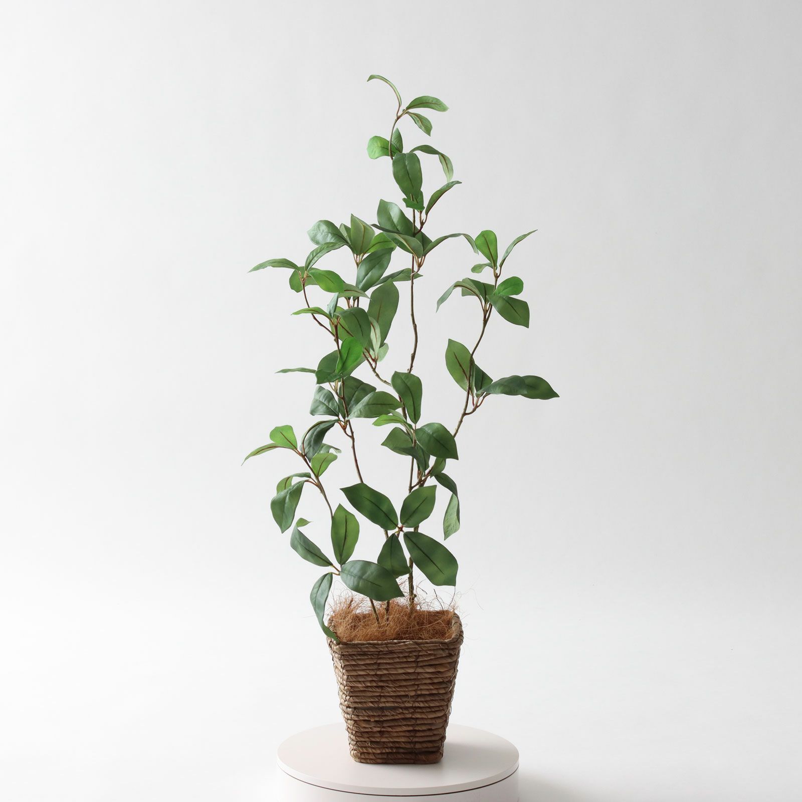 000000000261-19.jpg?t=