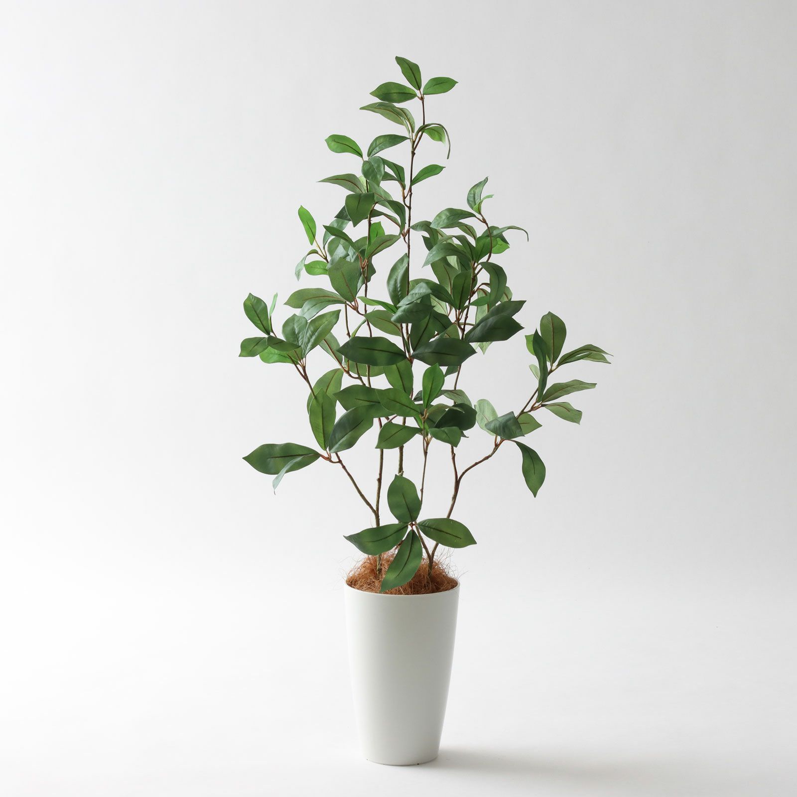 000000000262-01-l.jpg?t=