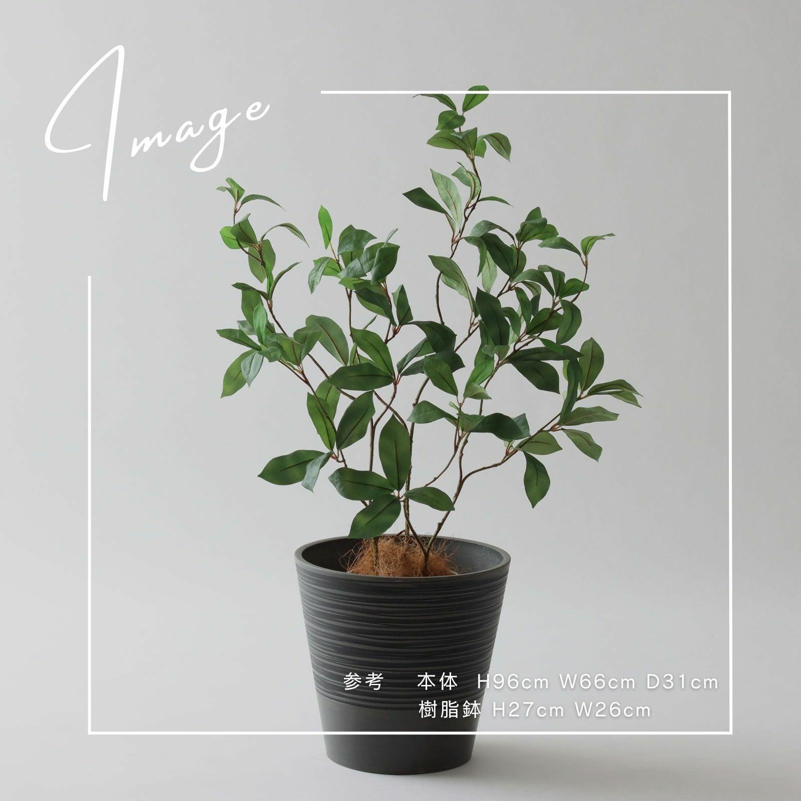 No3563N3 プレミアム光触媒フェイクグリーン【そのまま飾れる 完成形