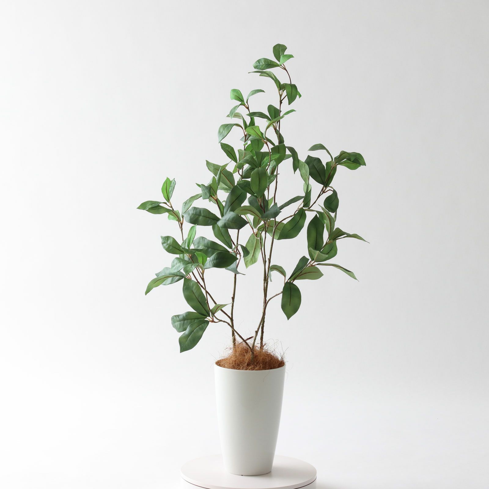 光触媒　人工観葉植物　フェイクグリーン　ベンジャミンスリム1.6m 楽天市場】【クーポンで10%OFF】 光触媒人工植物 ベンジャミンスリム