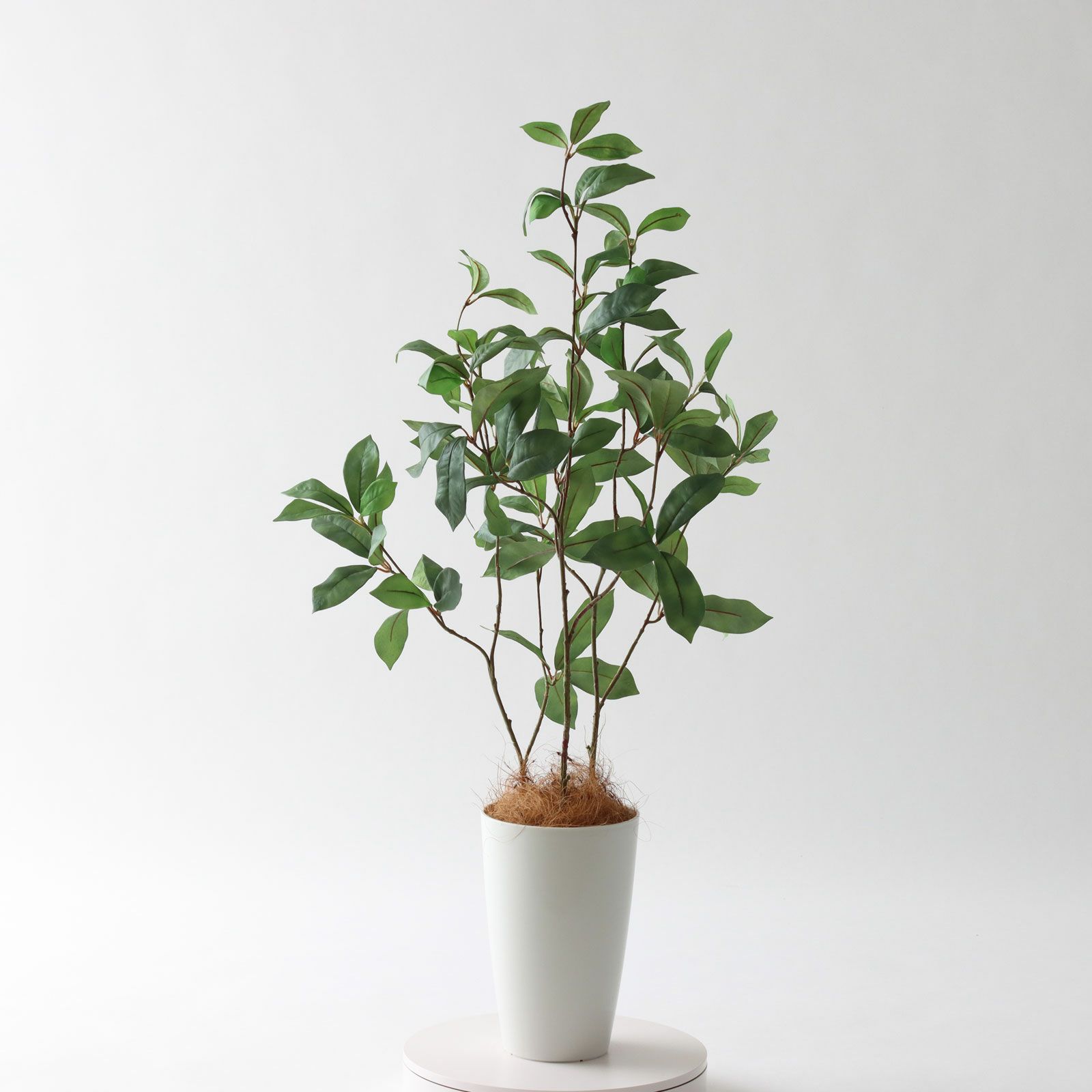 No3563N3 プレミアム光触媒フェイクグリーン【そのまま飾れる 完成形