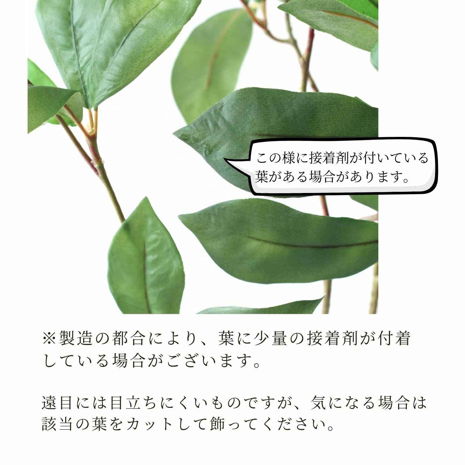 接着剤が付着している葉の例