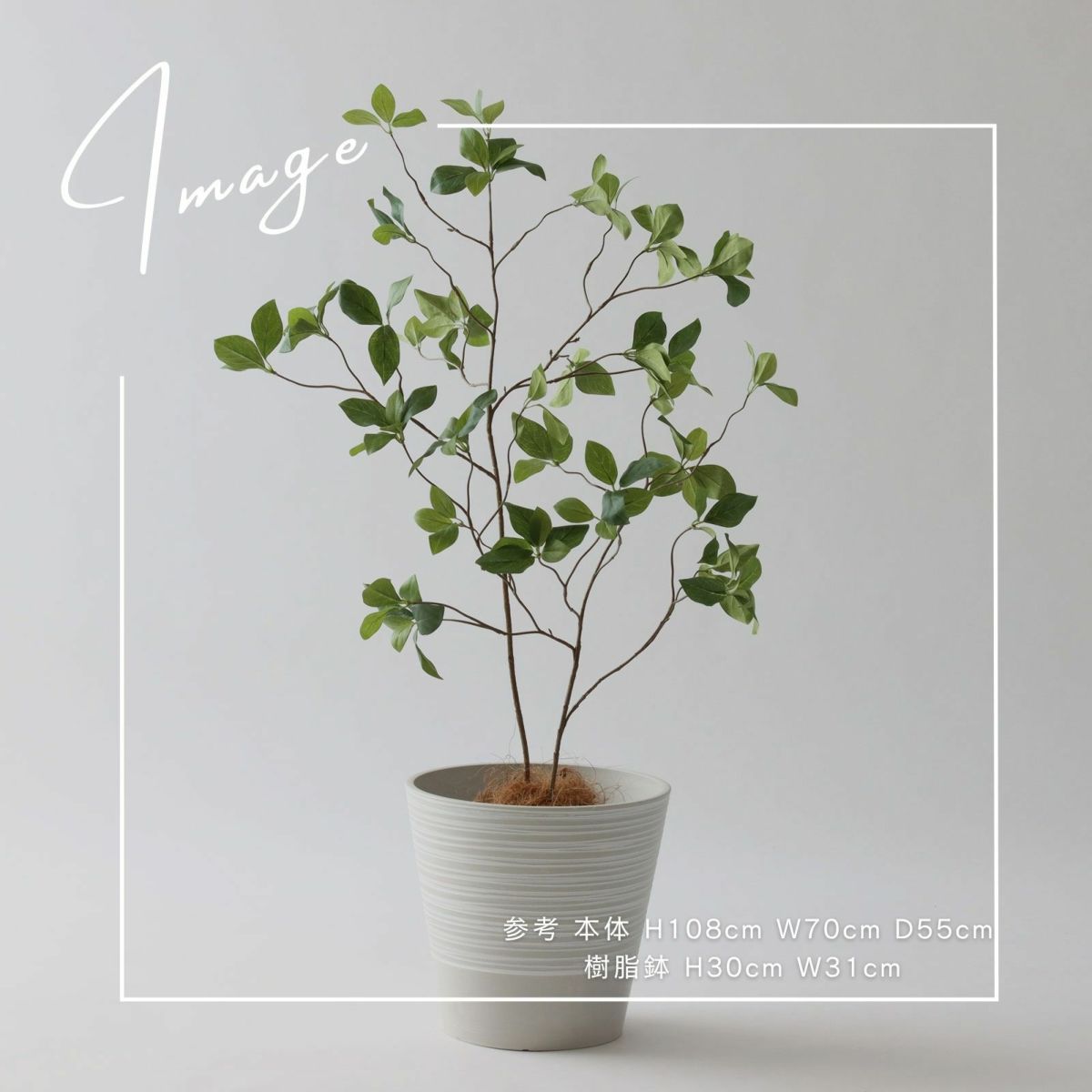 【参考】本体：h108cm w70cm d55cm 鉢：h30cm w31cm