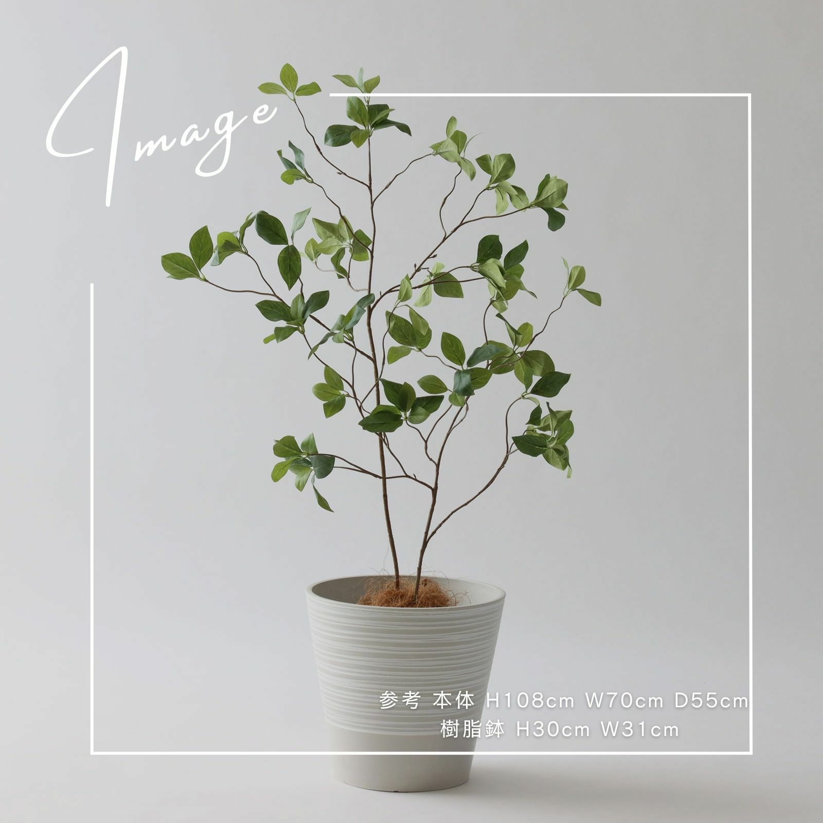 【参考】本体：h108cm w70cm d55cm 鉢：h30cm w31cm