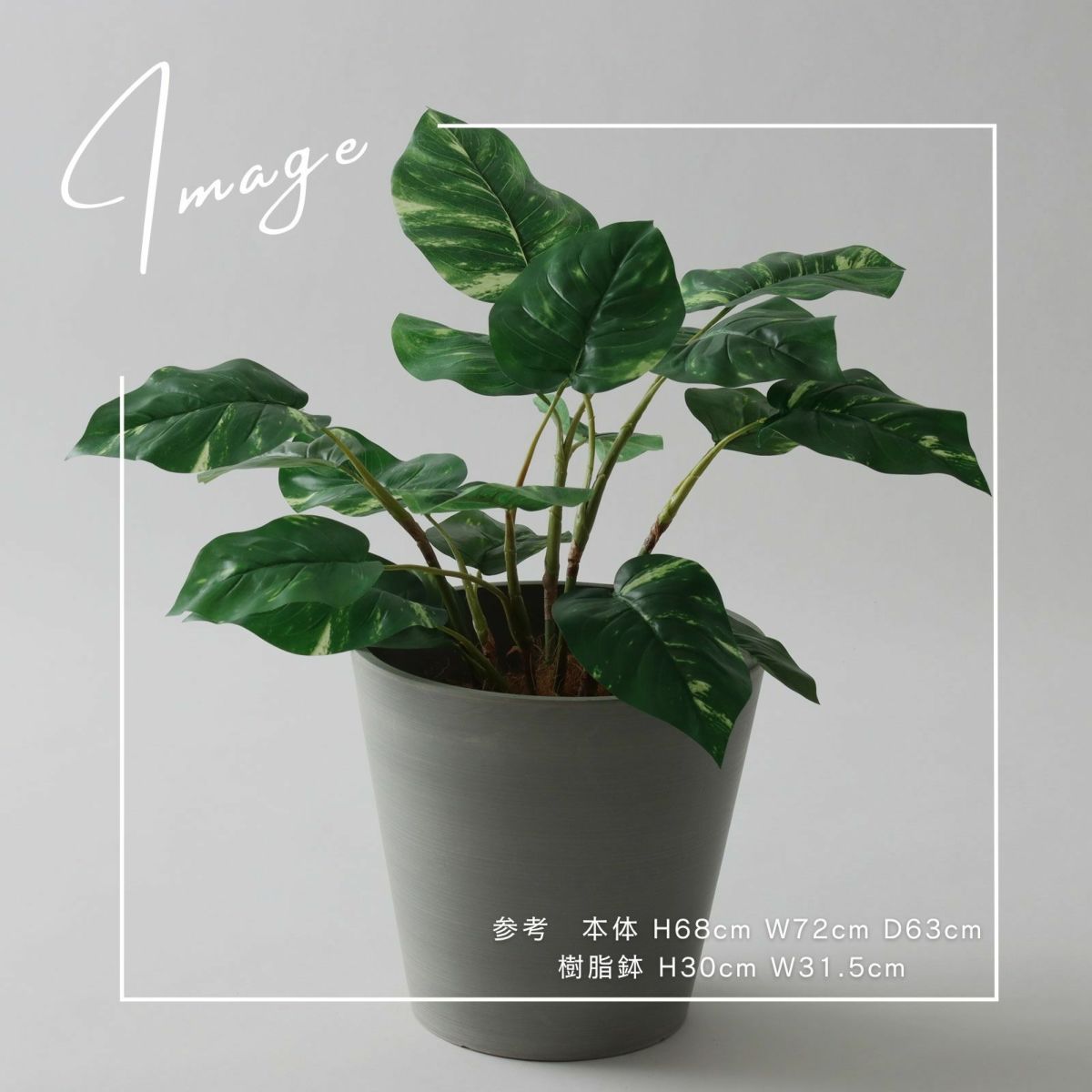 【参考】 本体：h68cm w72cm d63cm 鉢：h30cm w31.5cm