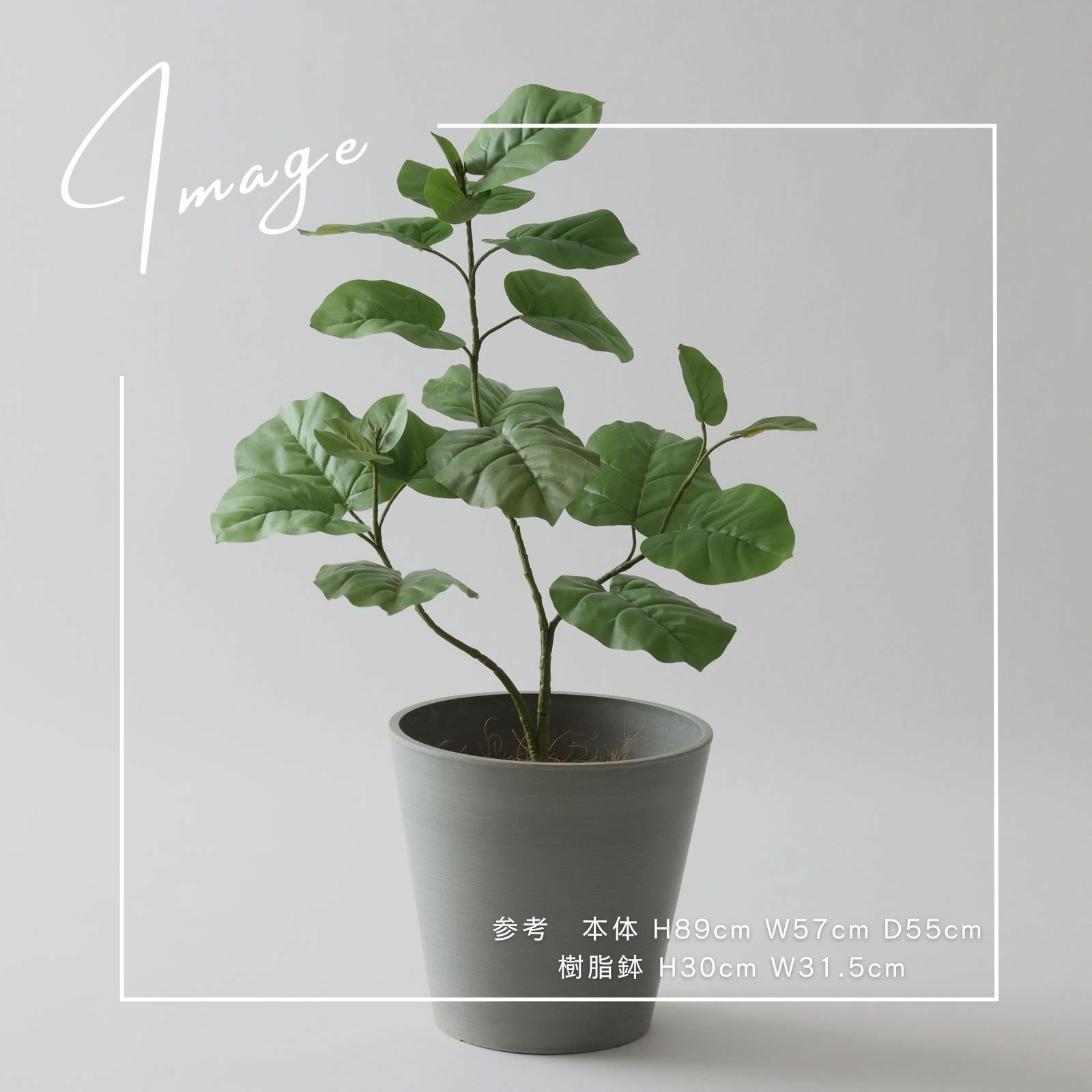 No9210N1 プレミアム光触媒フェイクグリーン 【そのまま飾れる 完成形