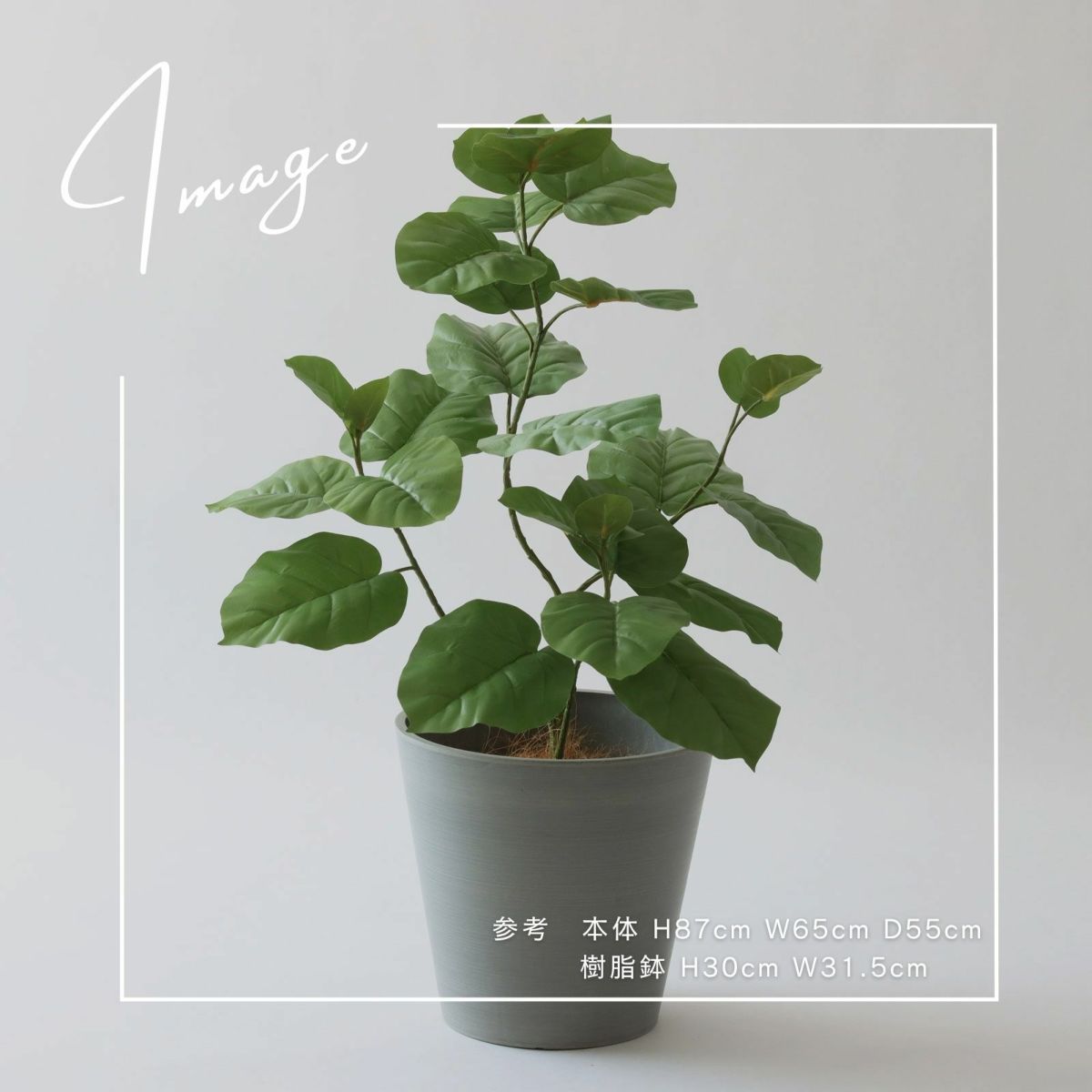 【参考】本体 h87cm w65cm d55cm 鉢 h30cm w31.5cm