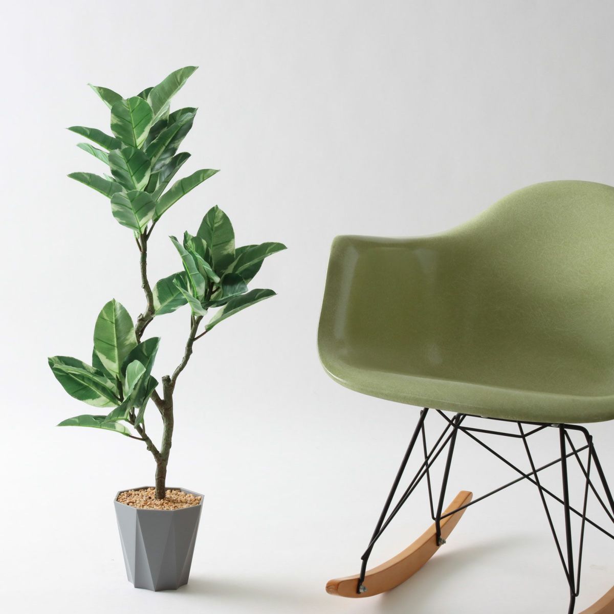 ⑬ Formaポット（標準）