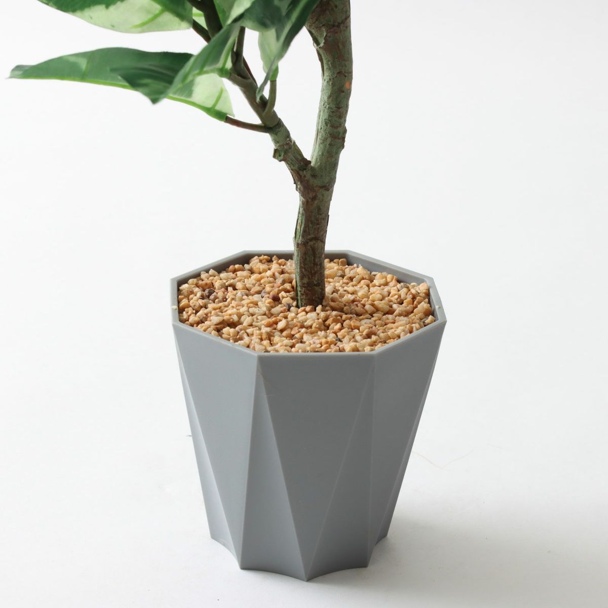 Formaポット（+0円）