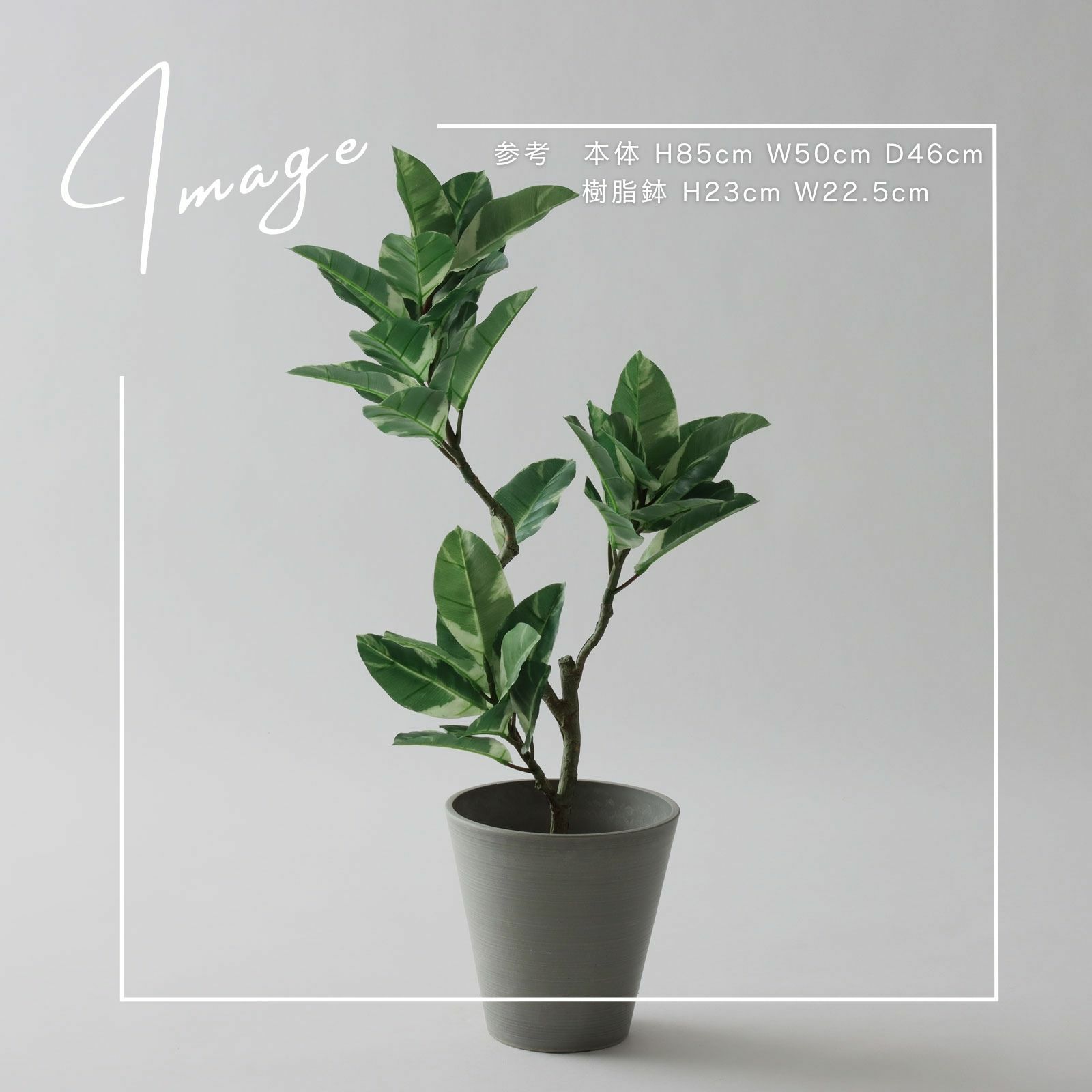 No8466 プレミアム光触媒フェイクグリーン 「美しい斑入り葉