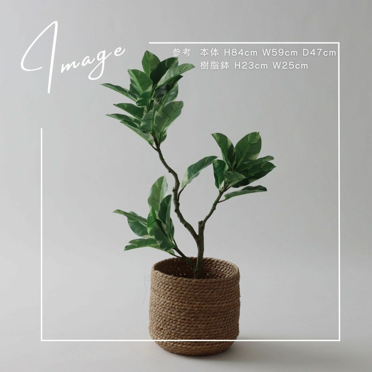 【参考】本体 h84cm w59cm d47cm 鉢 h23cm w25cm