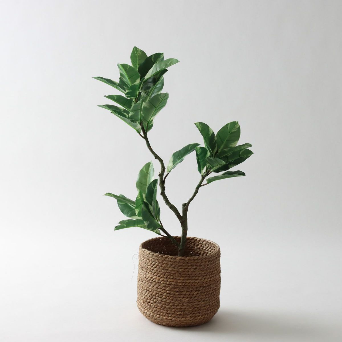 ③ シーグラス 小（SK7）