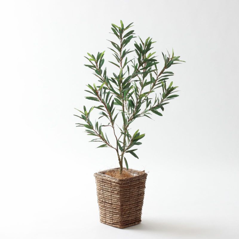 光触媒　人工観葉植物　フェイクグリーン　プレミアム胡蝶蘭7本立W/AB 楽天市場】【取寄品】 フェイクグリーン 光触媒 胡蝶蘭7本立 薄
