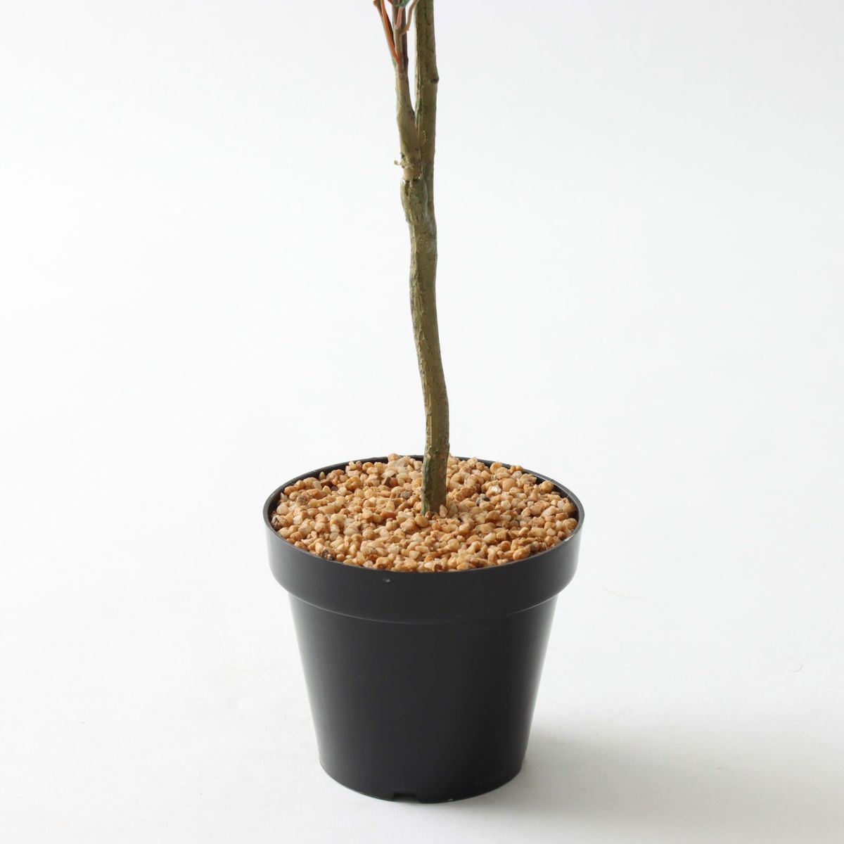 プラ鉢 黒（＋0円）