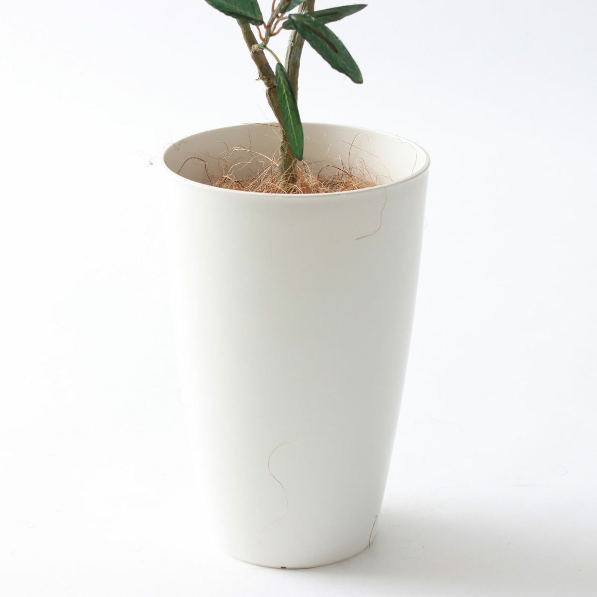 白丸ポット CHIC7丸＋ヤシの繊維（＋1000円）