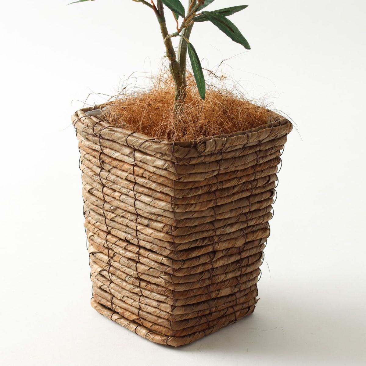 バナナリーフバスケットミニ KG77＋ヤシの繊維 （+2000円）