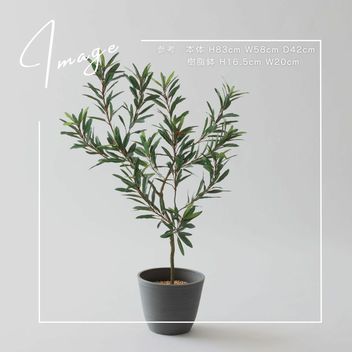 【参考】本体 h83cm w58cm d42cm 鉢 h16.5cm w20cm