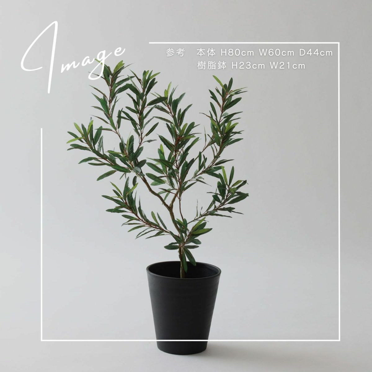 【参考】本体 h80cm w60cm d44cm 鉢 h23cm w21cm