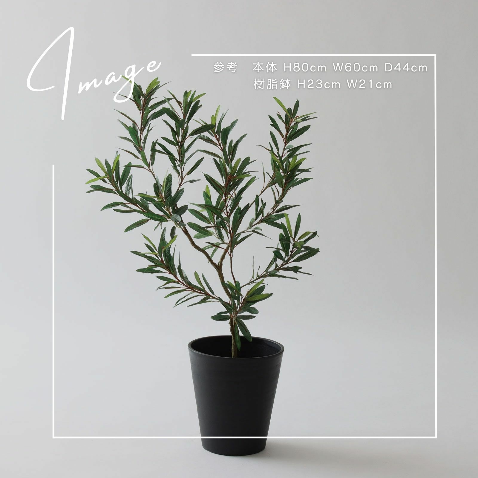 【参考】本体 h80cm w60cm d44cm 鉢 h23cm w21cm