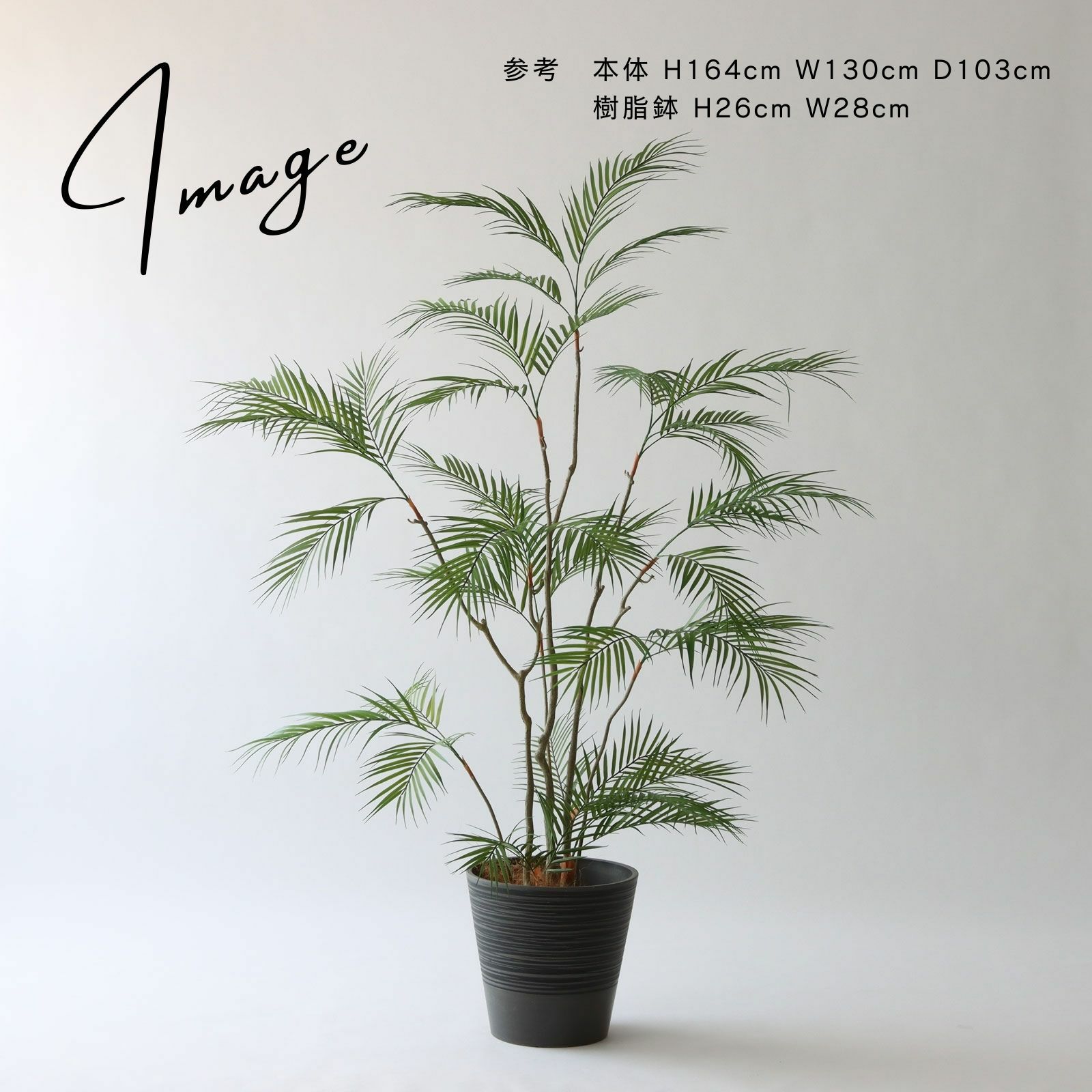 アレカパーム 鉢カバーコーデ提案