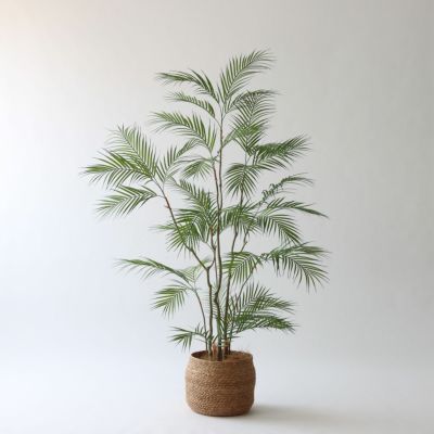 高さ150-180cm | プレミアム光触媒フェイクグリーン 造花ドットコム