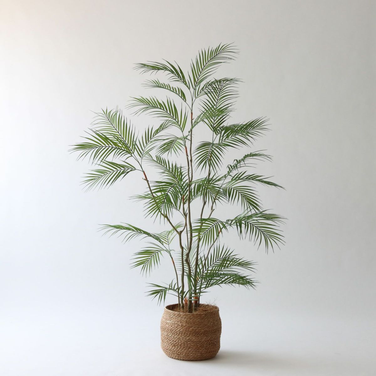 ① シーグラス 大（SK8）鉢カバーセット