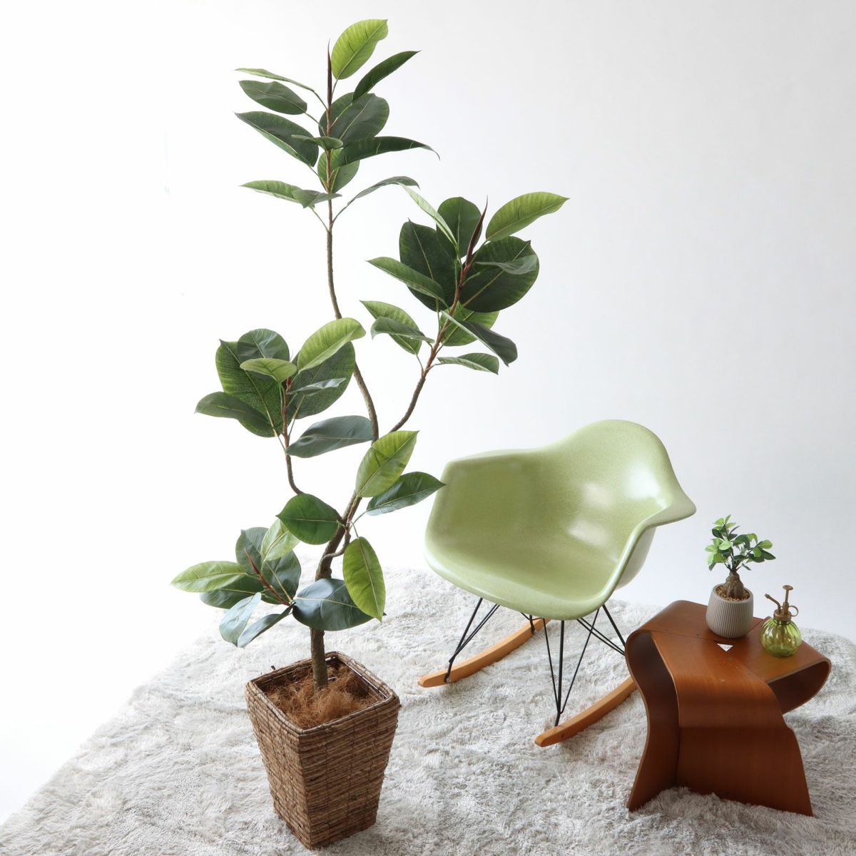 ② バナナリーフ 大（KG5-SRE）鉢カバーセット