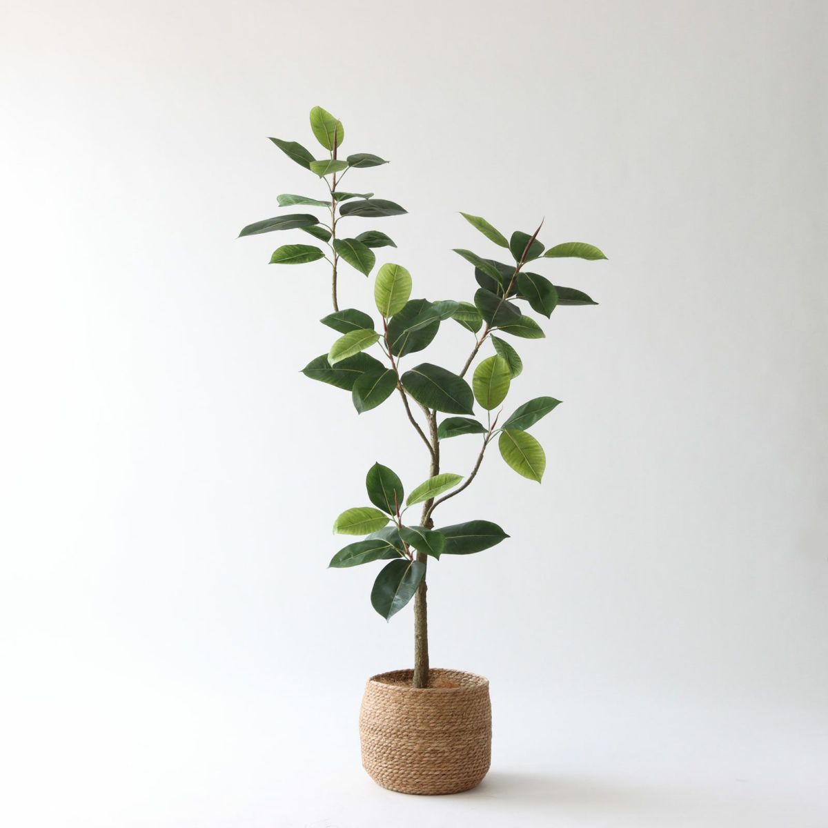 ③ シーグラス 小（SK7）鉢カバーセット