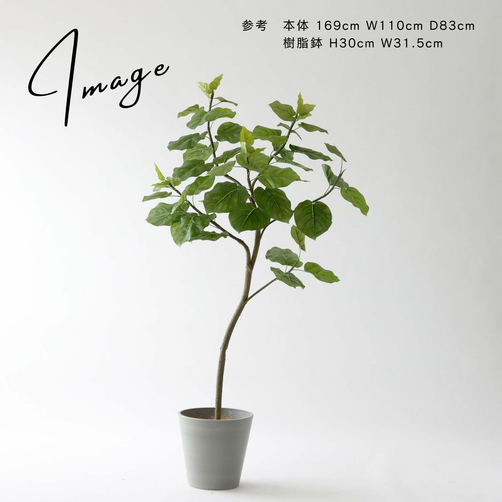 ウンベラータ フェイクグリーン 鉢アレンジ例