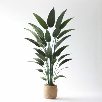 オーガスタ ストレリチア | プレミアム光触媒フェイクグリーン 造花