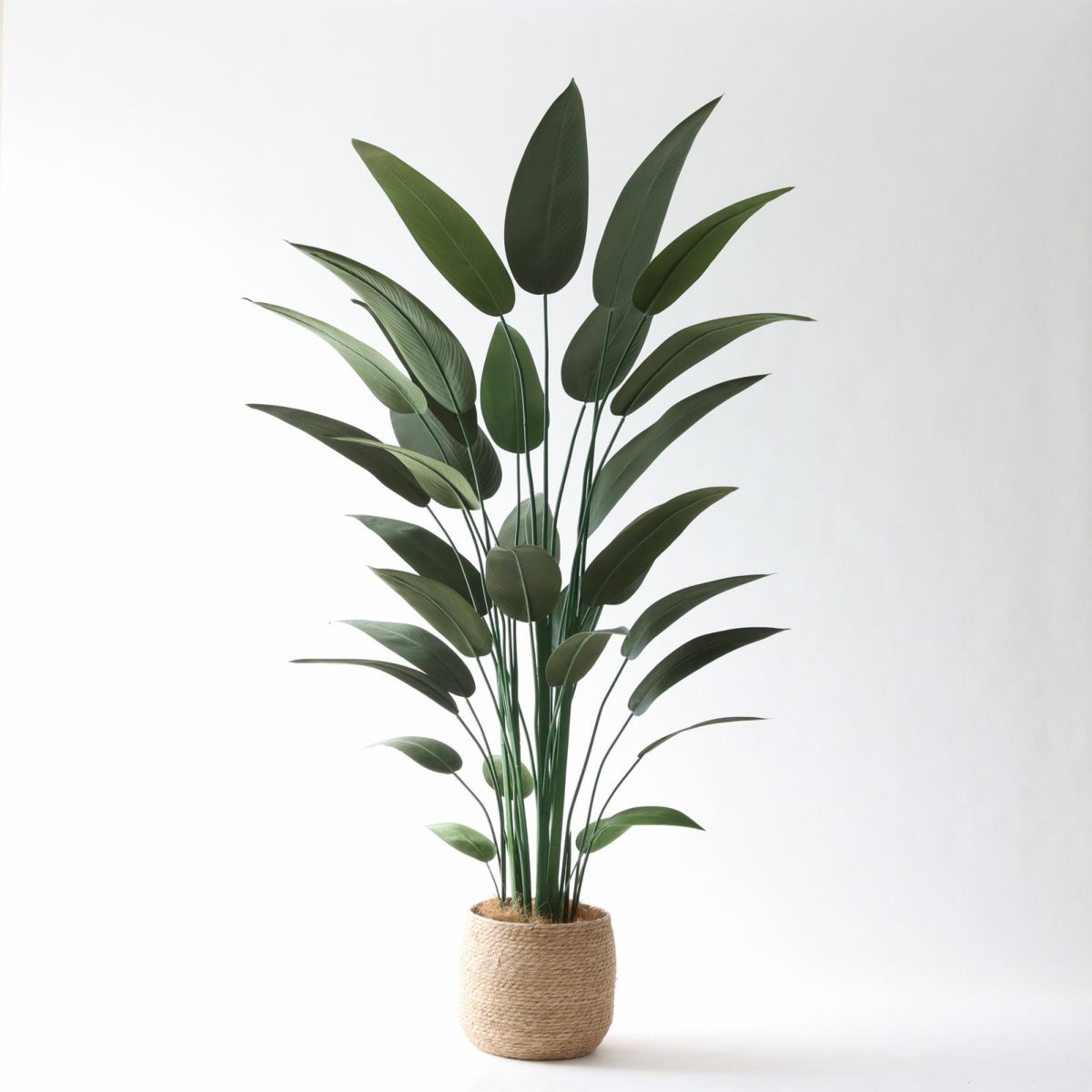 ① シーグラス 大（SK8）鉢カバーセット