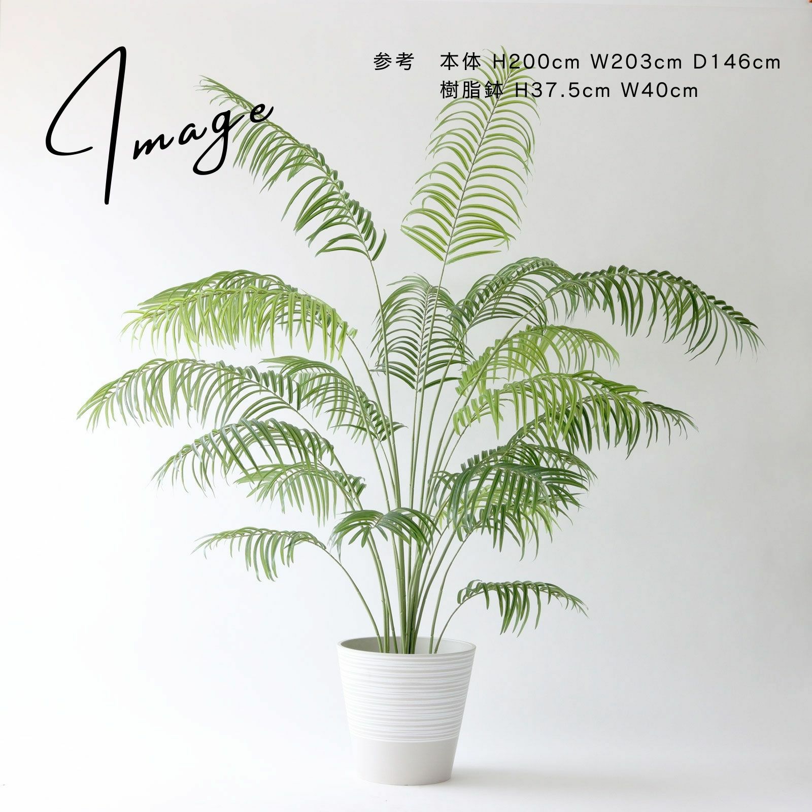 アレカパームの鉢アレンジ（大）